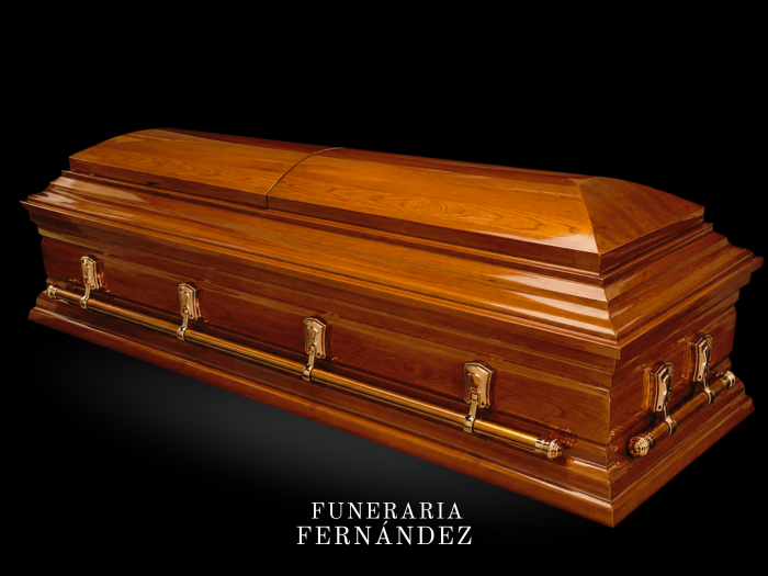 Modelo Americana 5