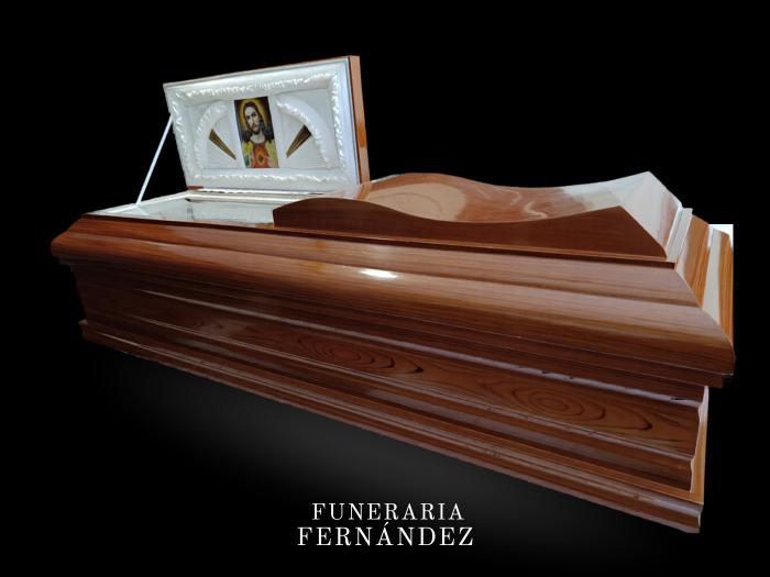Modelo Biblia 1