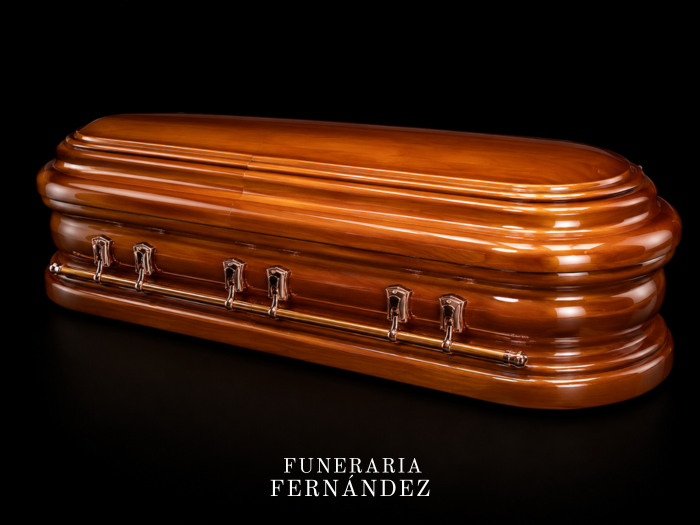 Modelo Fibra 2