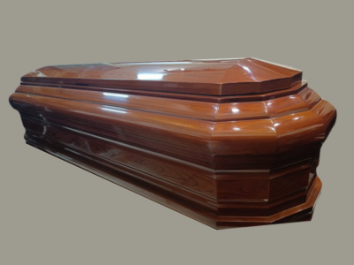 🌟Cremación Premium