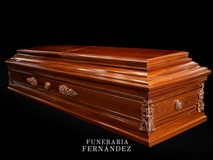 Modelo Plana 1